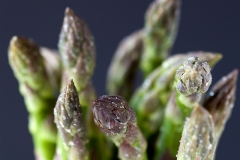 Asparagus