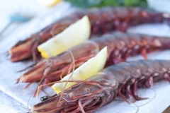 Tiger prawns