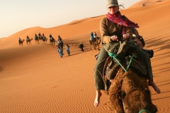 Camel train