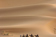 Sahara