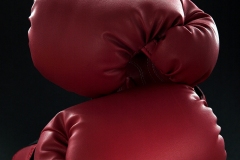 Fight night