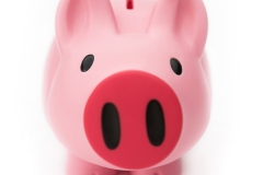 This little piggy...