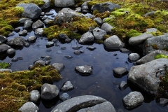 Iceland